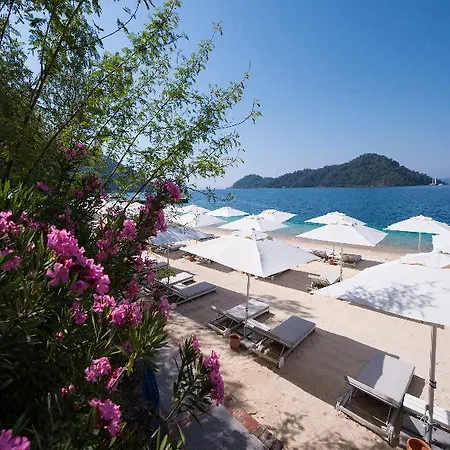 Отель D-resort Gocek Гёчек