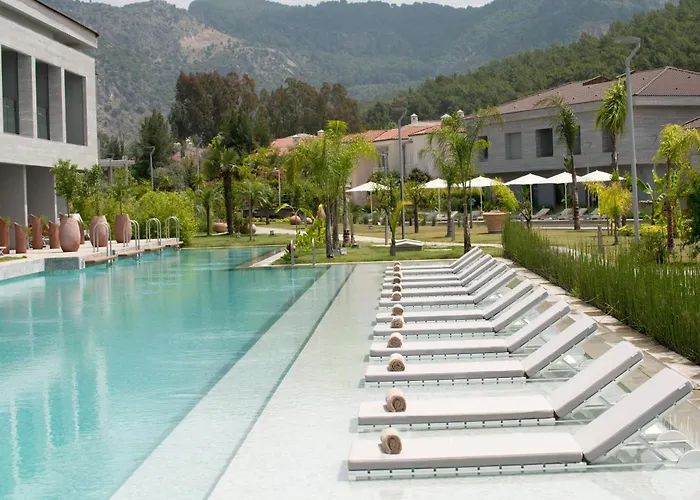 Отель D-resort Gocek Гёчек